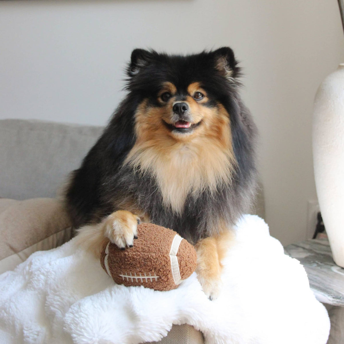 Lambwolf Collective's Squeaky Football Plush Dog Enrichment Toy