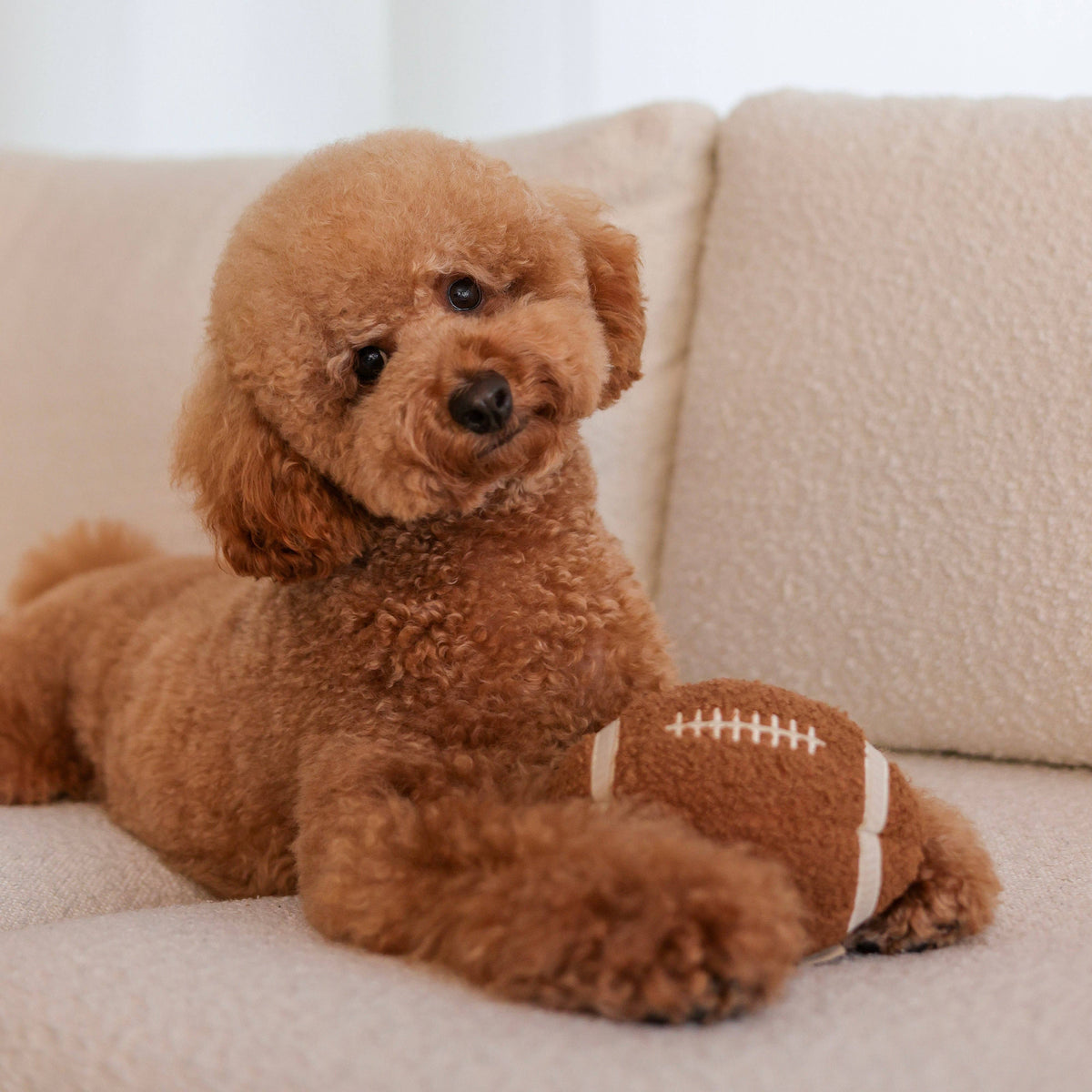 Lambwolf Collective's Squeaky Football Plush Dog Enrichment Toy