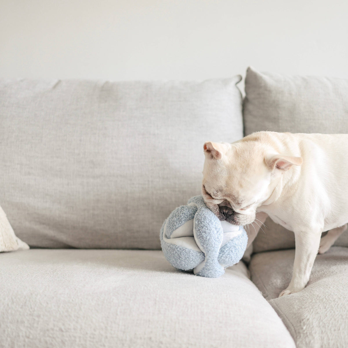 Lambwolf Collective's MONTI Snuffle Ball Enrichment Dog Toy