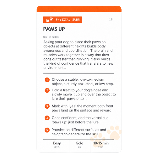SodaPup Dog Toys - YOUR DOG IS BORED - 32 ENRICHMENT ACTIVITY CARD DECK