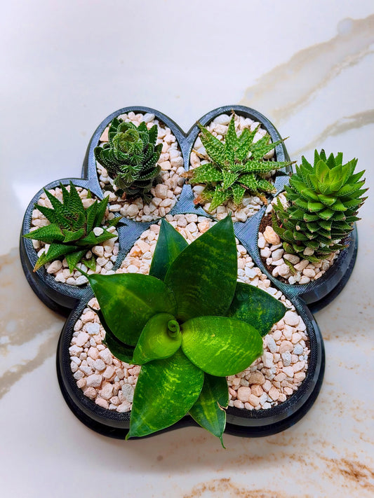Black Dog Paw Print Planter