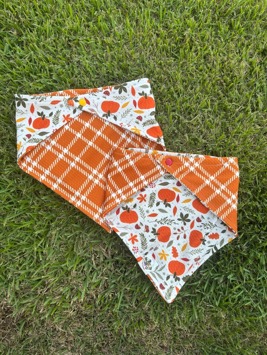 Bad Dog Boutique's Pumpkin Lane Dog Bandana
